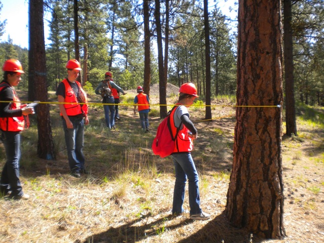 Forest Measurement – USFS McKay Creek